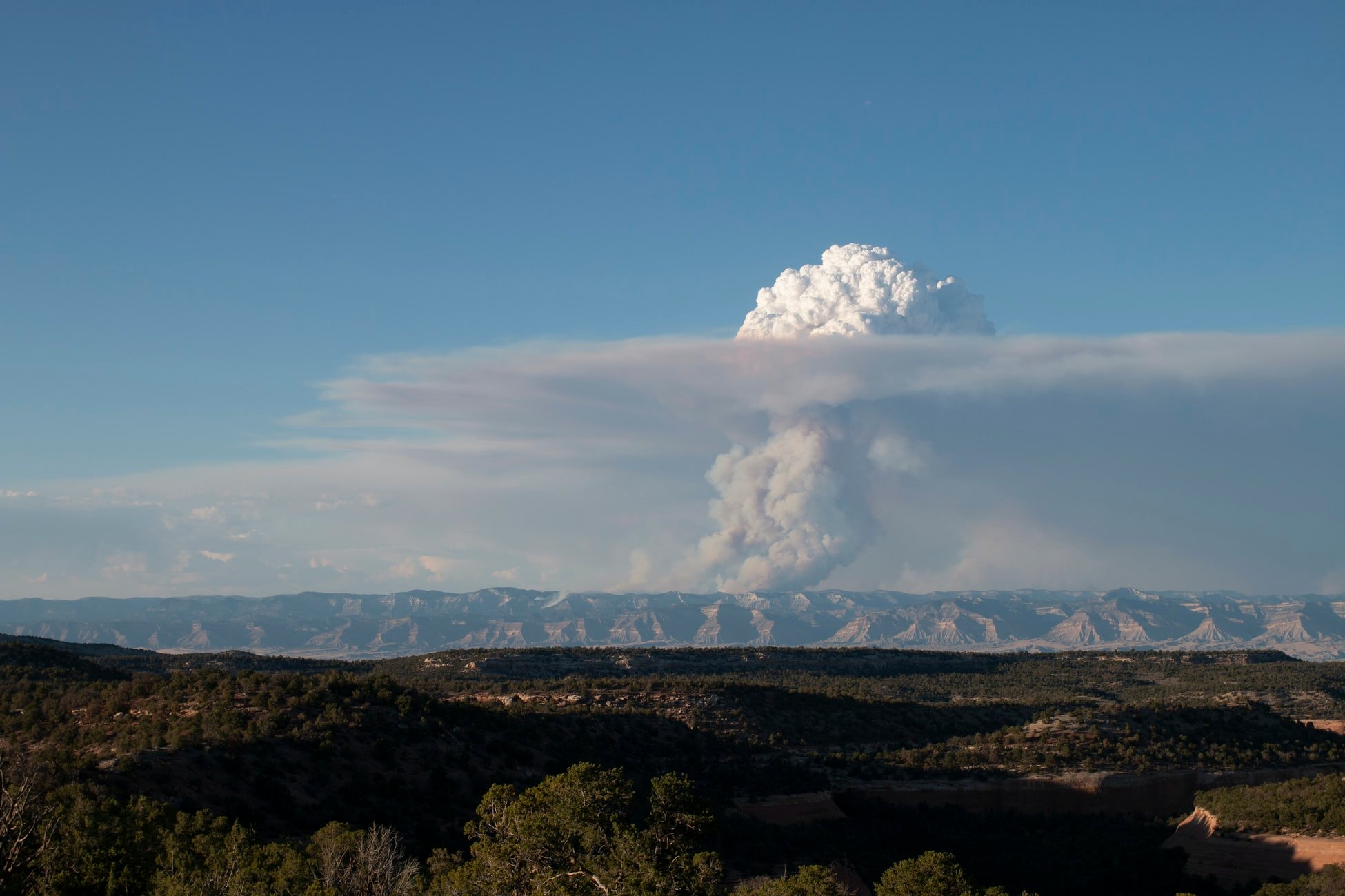 Pine gulch wildfire