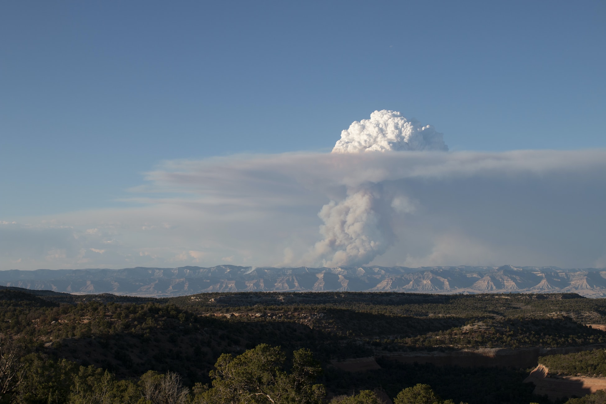 Pine gulch wildfire